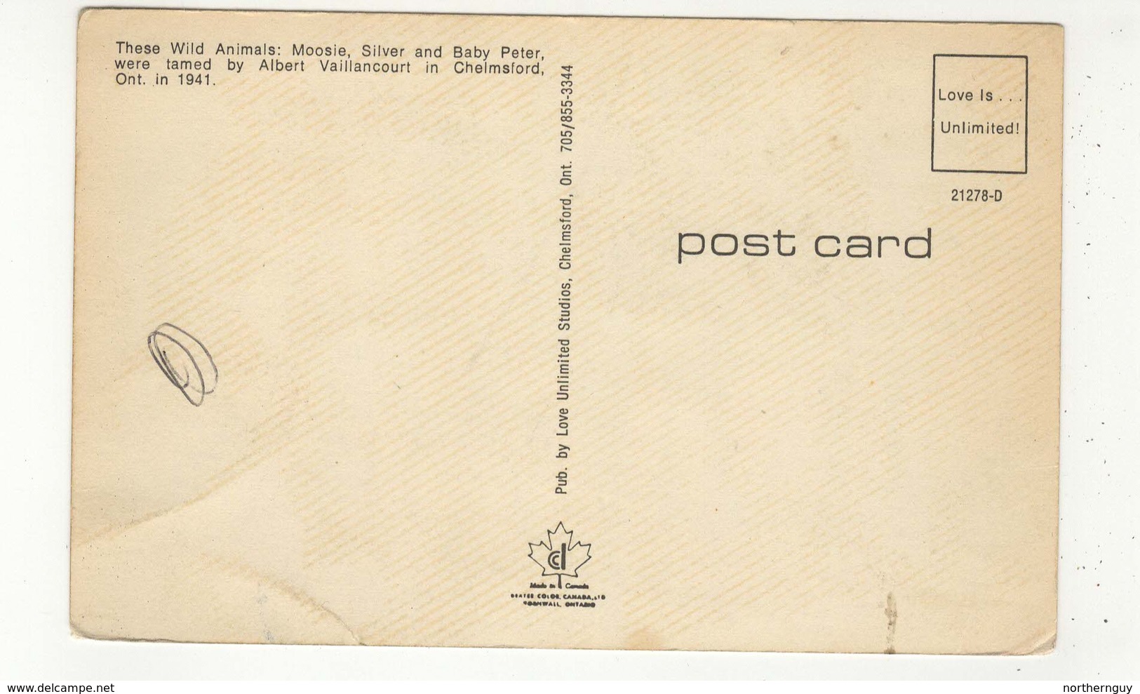 CHELMSFORD, Ontario, Canada, Trained Moose "Moosie" & "Silver" Pulling Sleigh, 1941 Postcard, Sudbury County - Autres & Non Classés