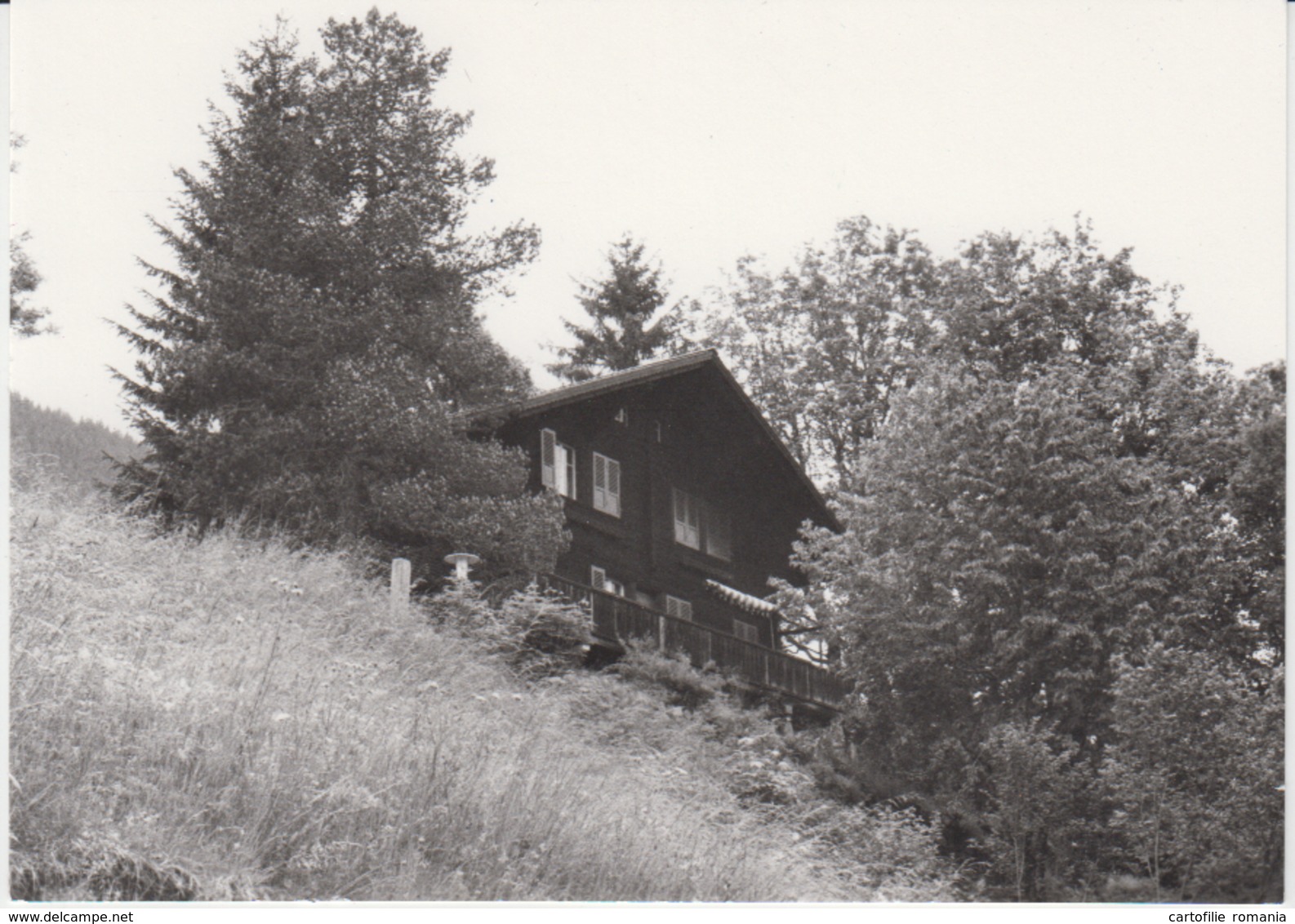 Chalet Am Durrenbergli Grindelwald Unused - Grindelwald