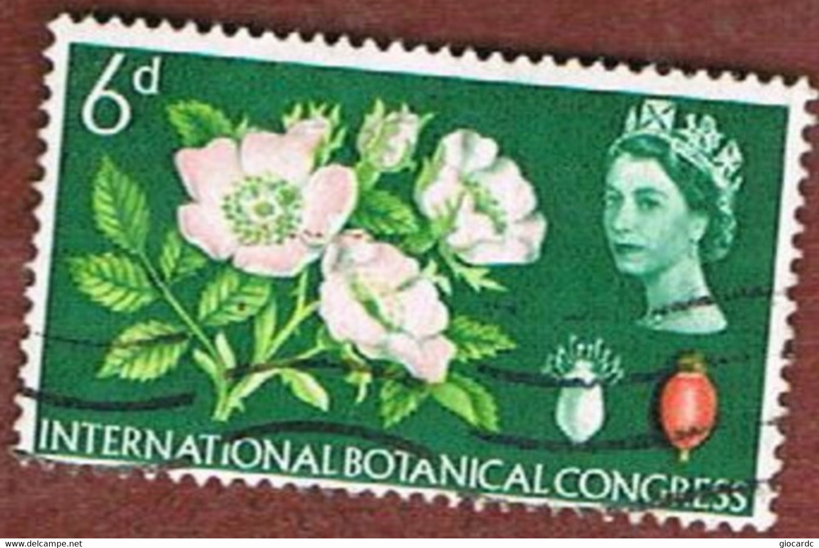 GRAN BRETAGNA (UNITED KINGDOM) -  SG 656  -  1964  INTERNATIONAL  BOTANICAL CONGRESS: FLOWERS    - USED° - Usati