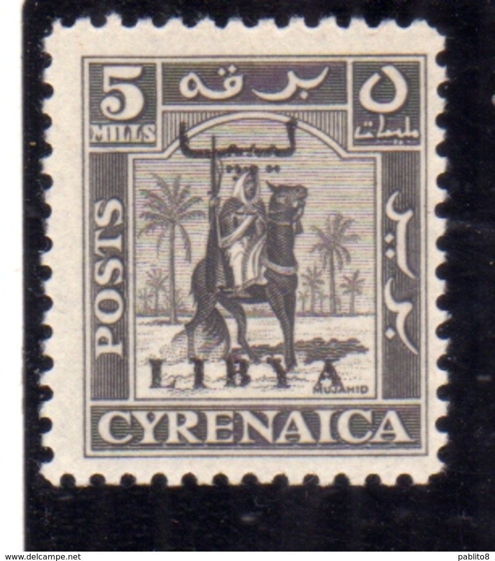 LIBIA LIBYA 1951 REGNO INDIPENDENTE EMISSIONE PER LA CIRENAICA CYRENAICA 5m MNH - Libia