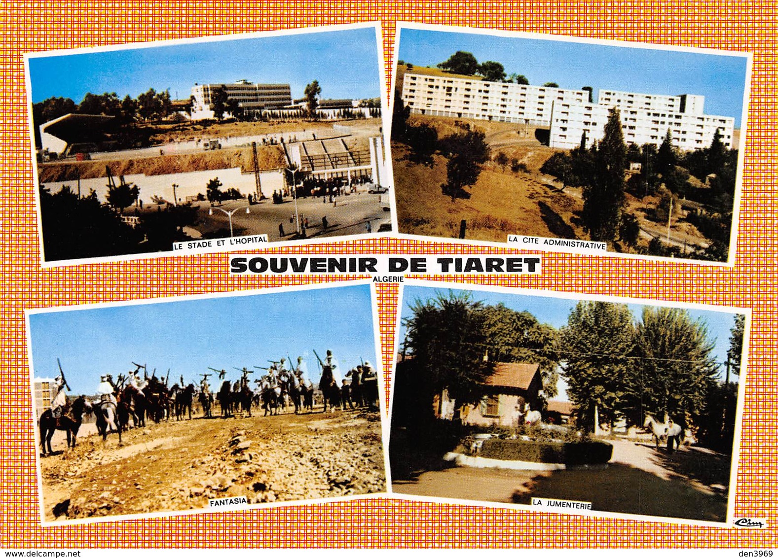 Algérie - Souvenir De TIARET - Stade Et Hopital - Cité Administrative - Fantasia - Jumenterie - Tiaret