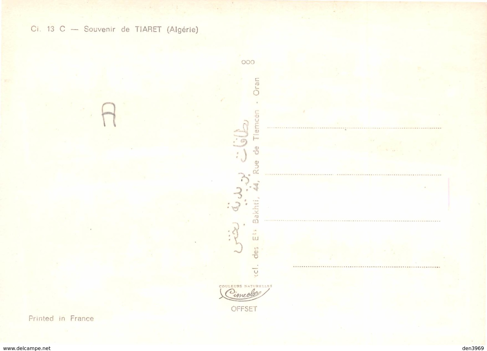 Algérie - Souvenir De TIARET - Stade Et Hopital - Cité Administrative - Fantasia - Jumenterie - Tiaret