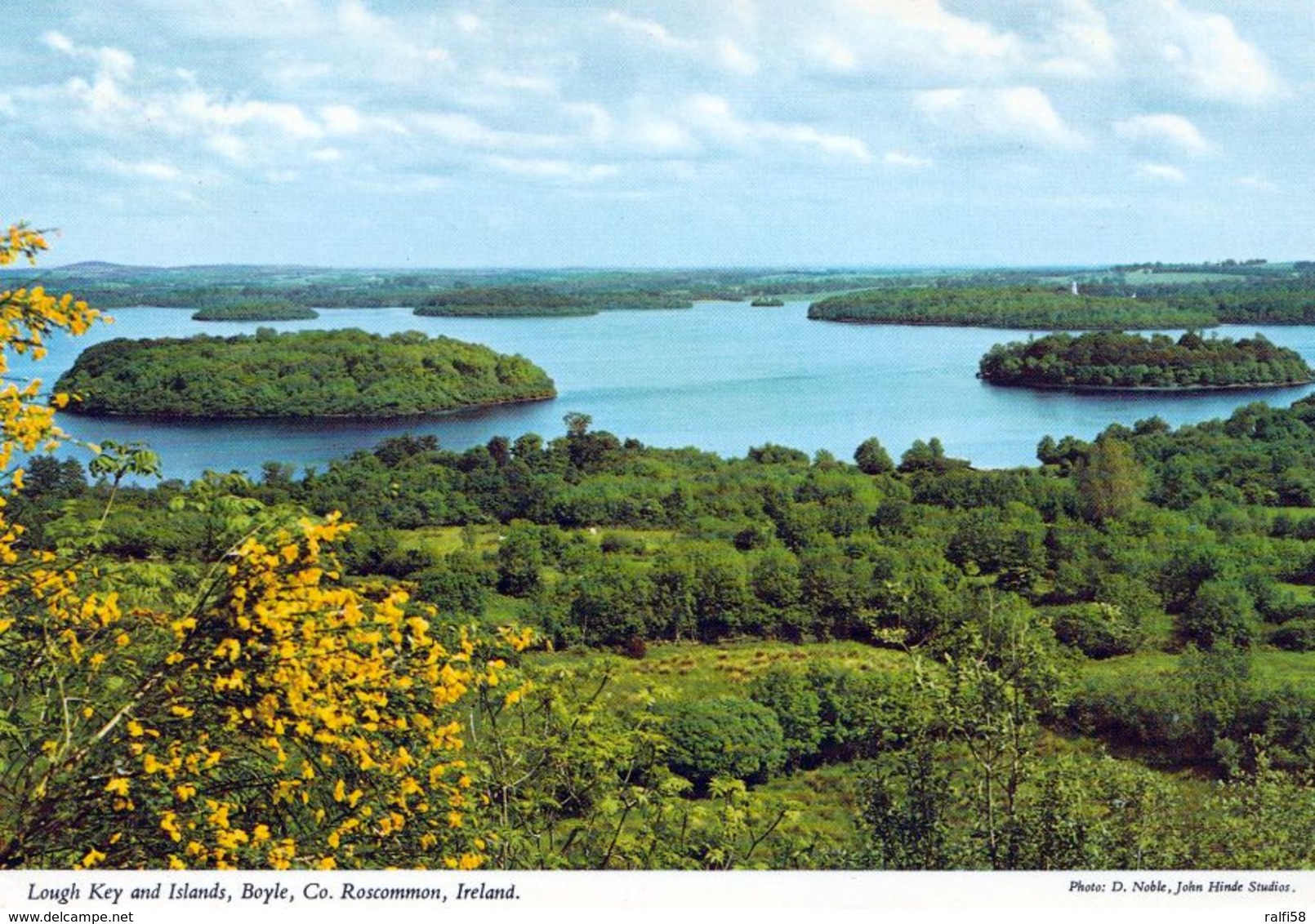 1 AK Irland * Lough Key And Islands - Ein See Im Nordwesten Der Grafschaft Bei Der Stadt Boyle - County Roscommon * - Roscommon