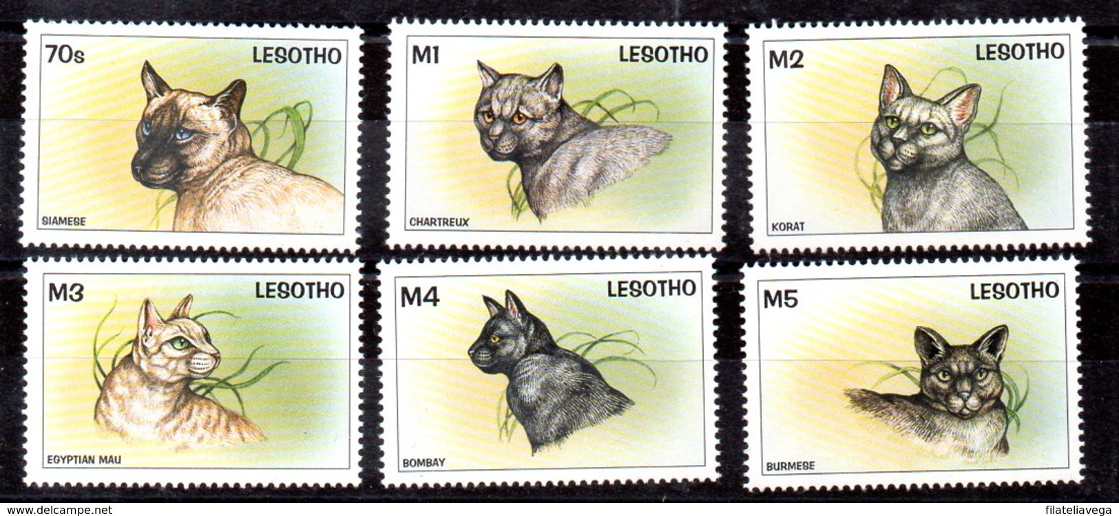 Serie De Lesotho Nº Yvert 1291/96 ** GATOS (CAT) - Gatos Domésticos