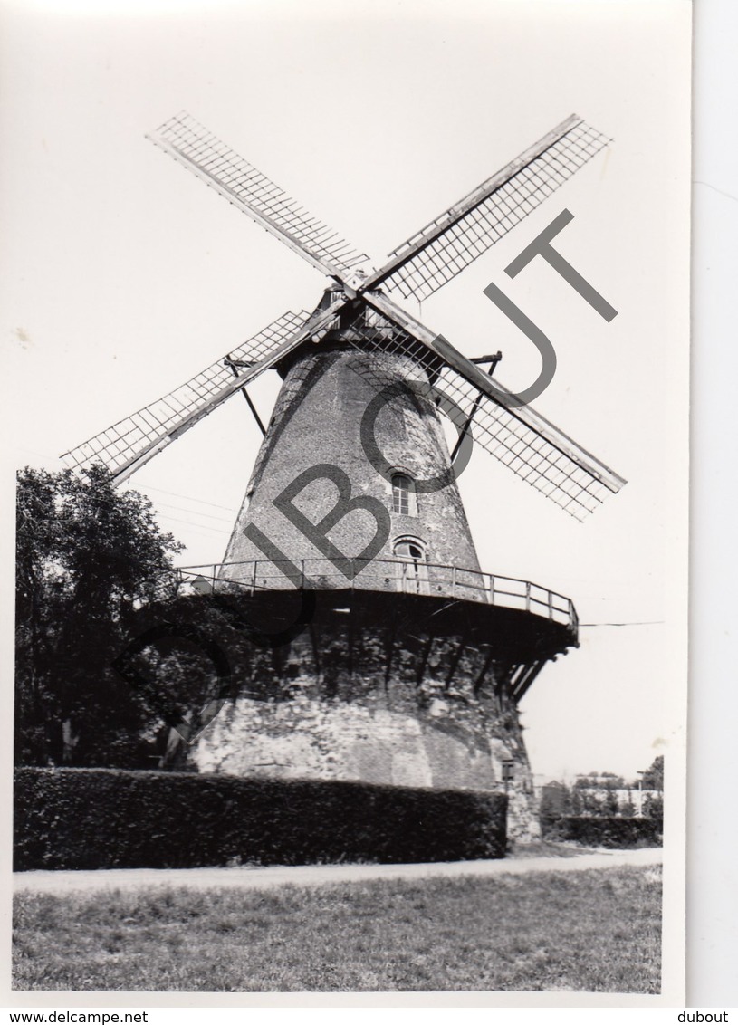 BOECHOUT Originele Foto Jaren '70 A.Carre Moulin/Molen (Q78) - Boechout