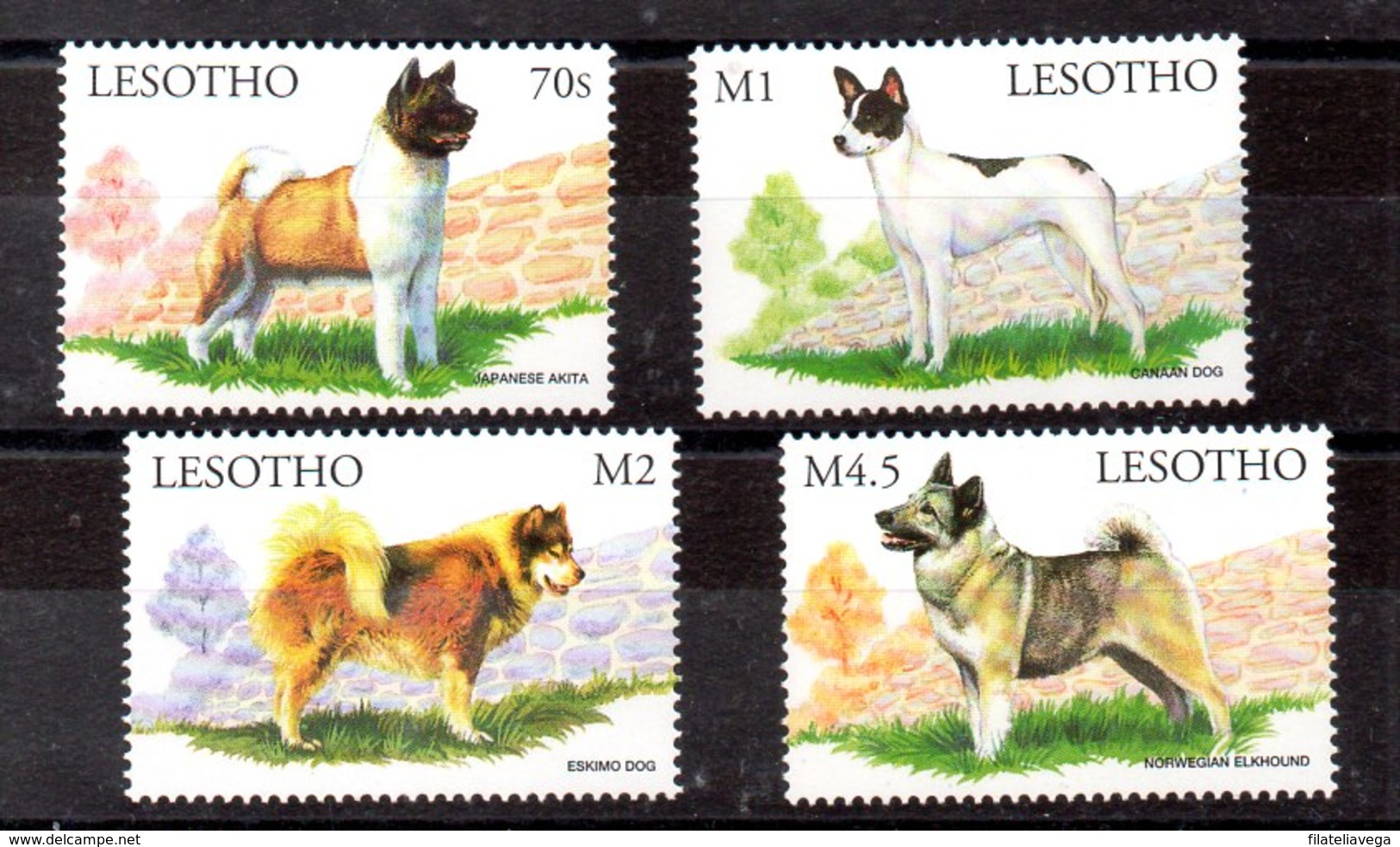 Serie De Lesotho Nº Yvert 1453/56 ** PERROS (DOG) - Perros