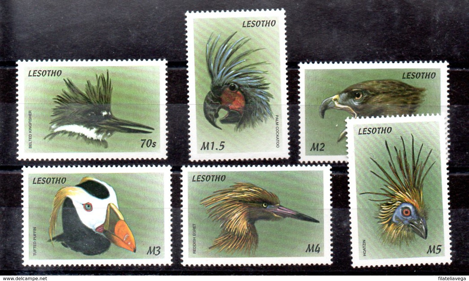 Serie De Lesotho Nº Yvert 1465/70 ** AVES (BIRDS) - Lesotho (1966-...)