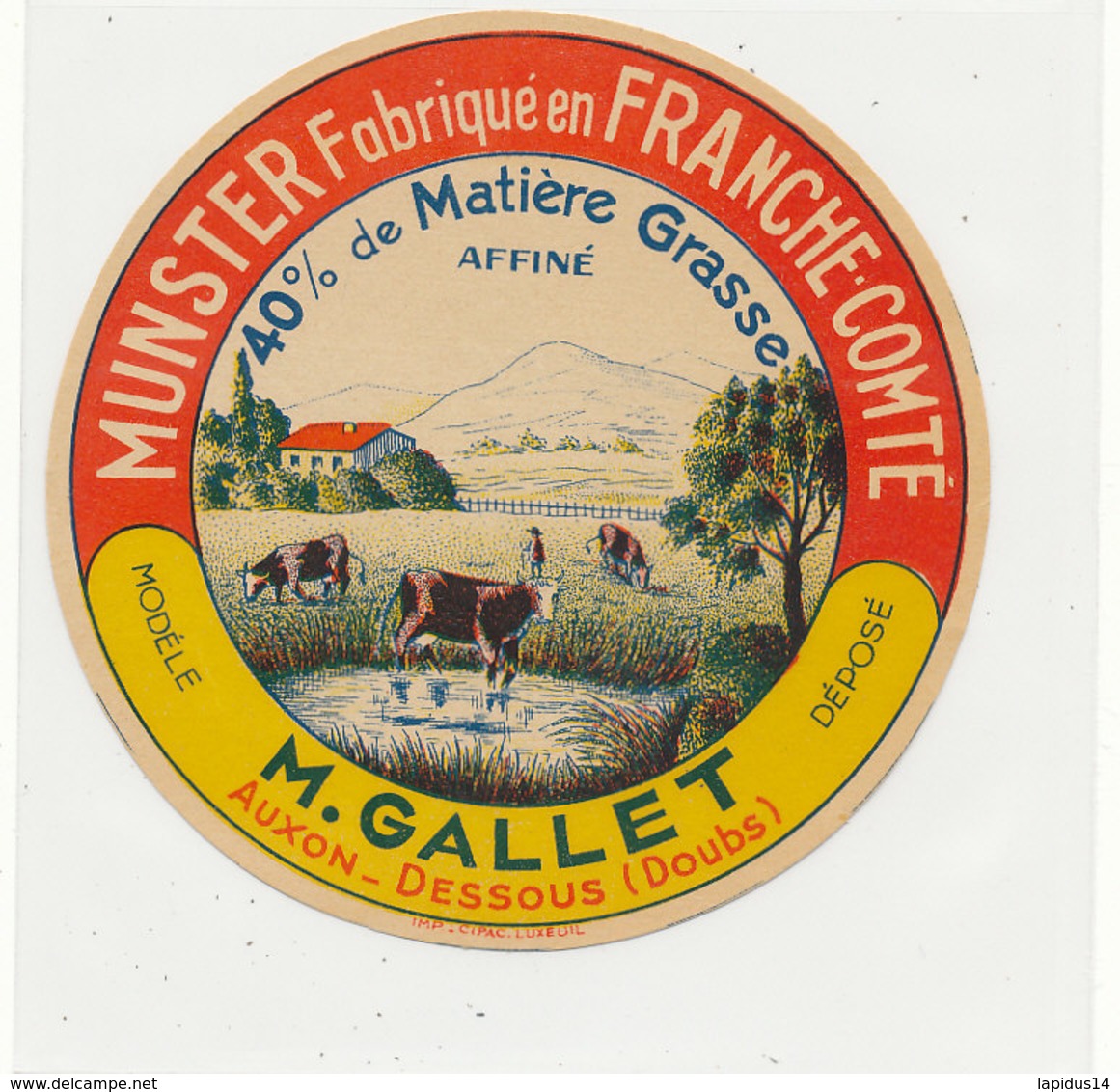 V 224 / ETIQUETTE DE FROMAGE MUNSTER FABEN FRANCHE COMTE  M. GALLET AUXON DESSOUS (DOUBS) - Quesos