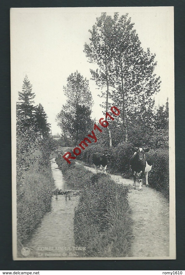 Comblain-la-Tour - Le Ruisseau De Boé. Bêtail. - Comblain-au-Pont