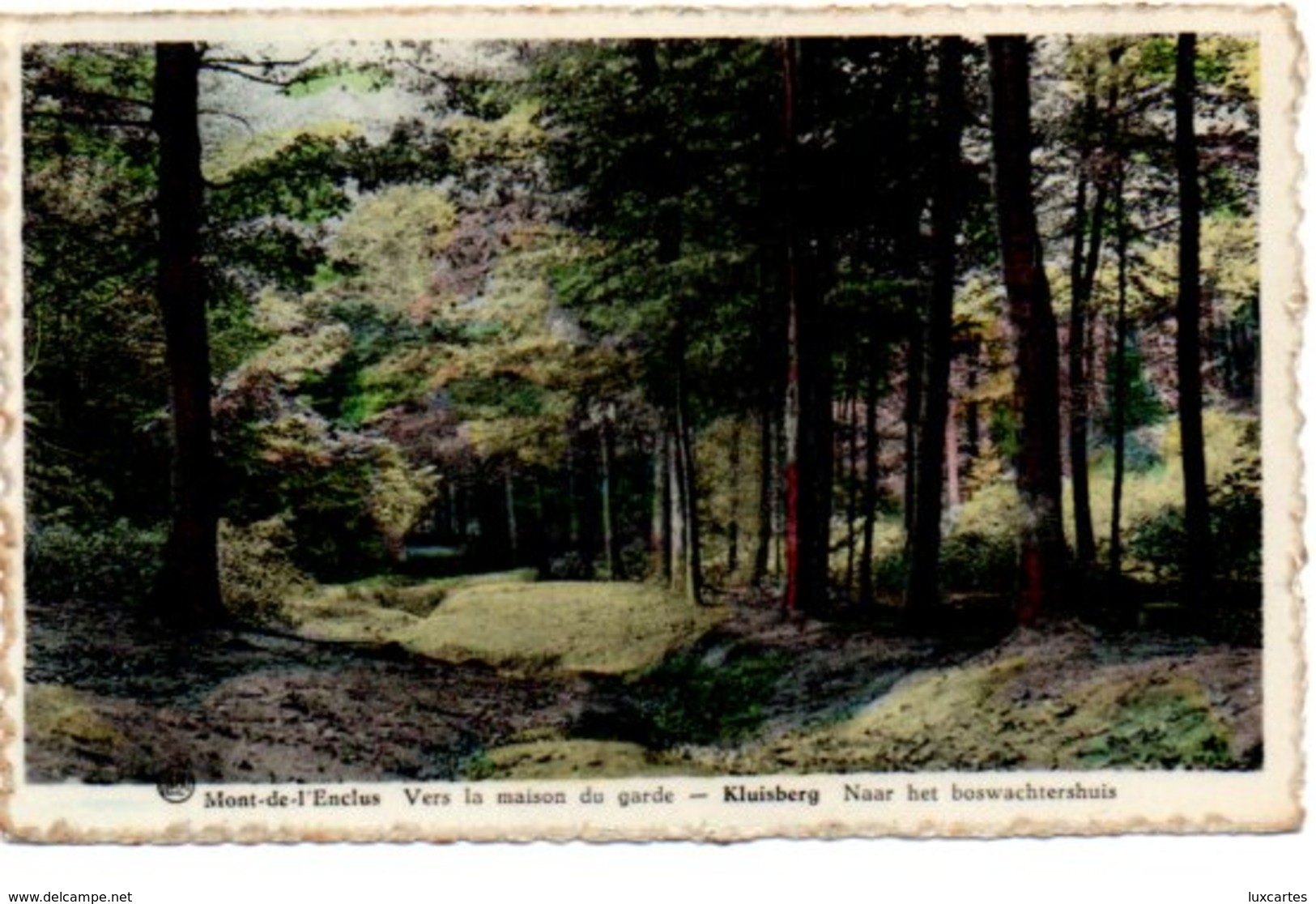 MONT DE L' ENCLUS. VERS LA MAISON DU GARDE. - Mont-de-l'Enclus