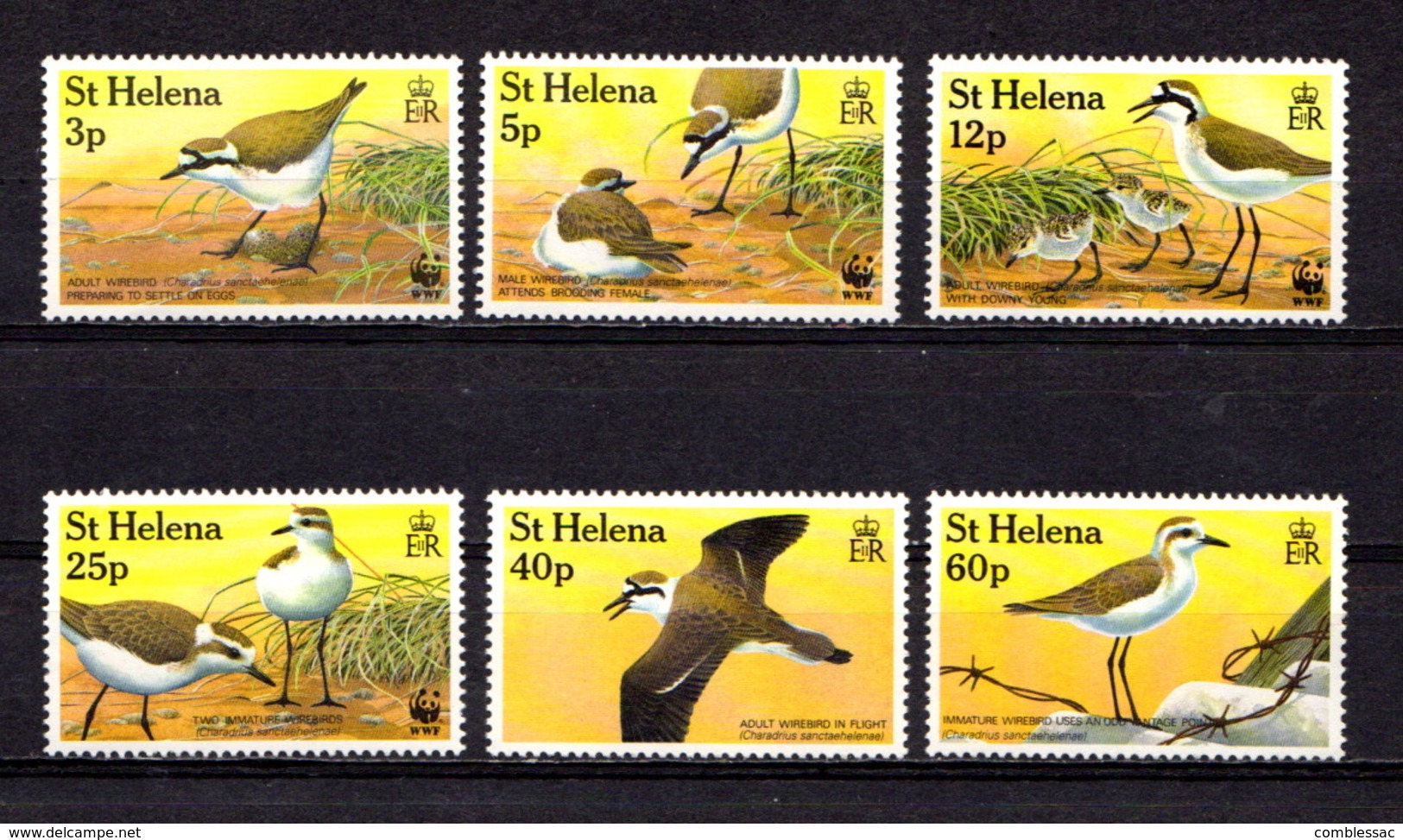 SAINT  HELENA    1993    Endangered  Species    Set  Of  6    MNH - Isola Di Sant'Elena