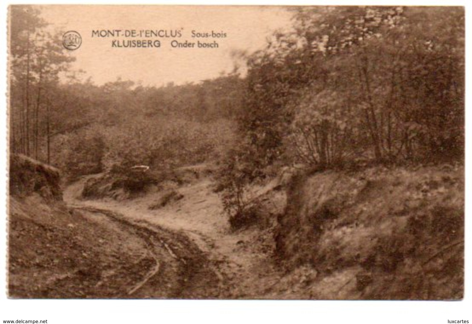 MONT DE L' ENCLUS. SOUS BOIS. - Mont-de-l'Enclus