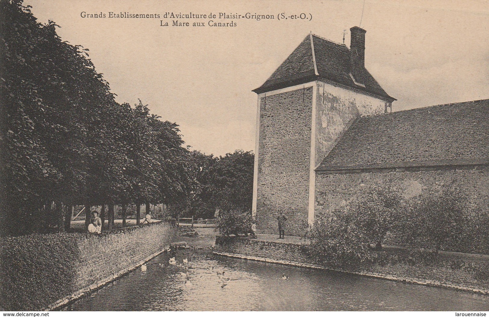 78 - PLAISIR - Grands Etablissements D' Aviculture De Plaisir Grignon - La Mare Aux Canards - Plaisir