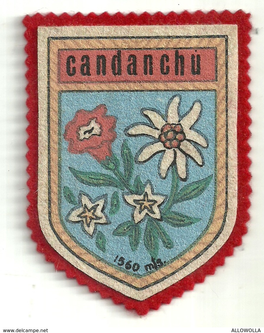 3265 " CANDANCHU " TOPPA-PATCH -STELLA ALPINA E FIORI- ORIGINALE - Altri & Non Classificati