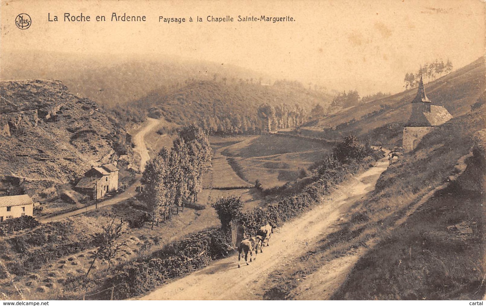 LA ROCHE En ARDENNE - Paysage à La Chapelle Sainte-Marguerite - La-Roche-en-Ardenne