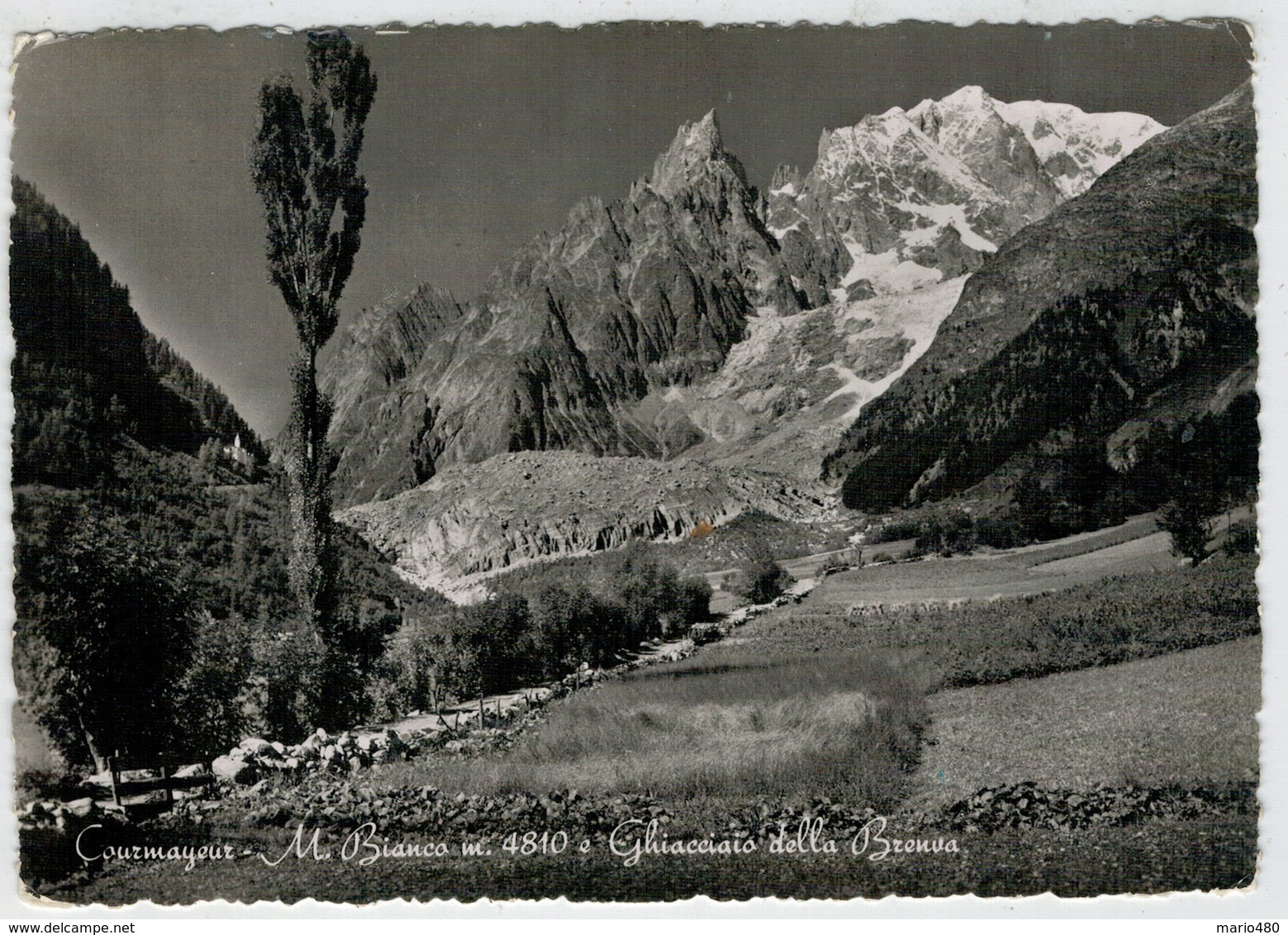 COURMAYEUR   M. BIANCO  E  GHIACCIAIO  DELLA   BRENVA        (VIAGGIATA) - Altri & Non Classificati