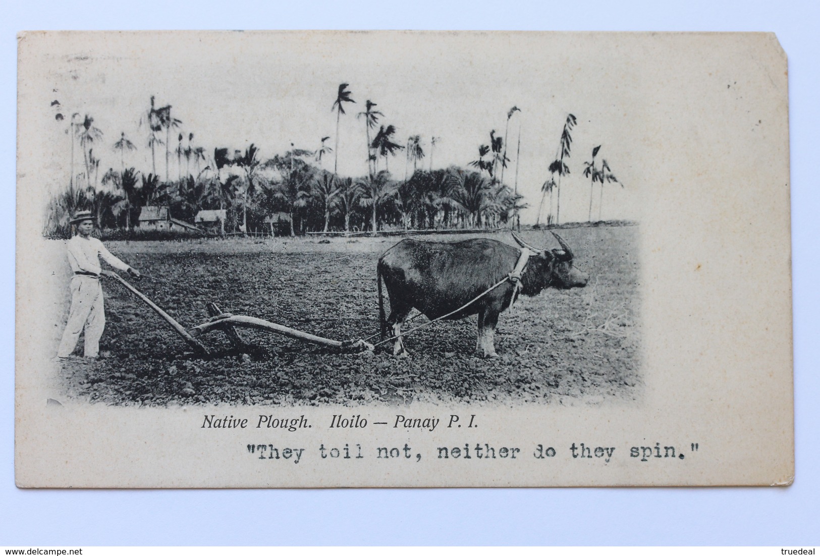 NATIVE PLOUGH. ILOILO – PANAY, P.I. Philippines Philippine Islands, 1906 - Philippines