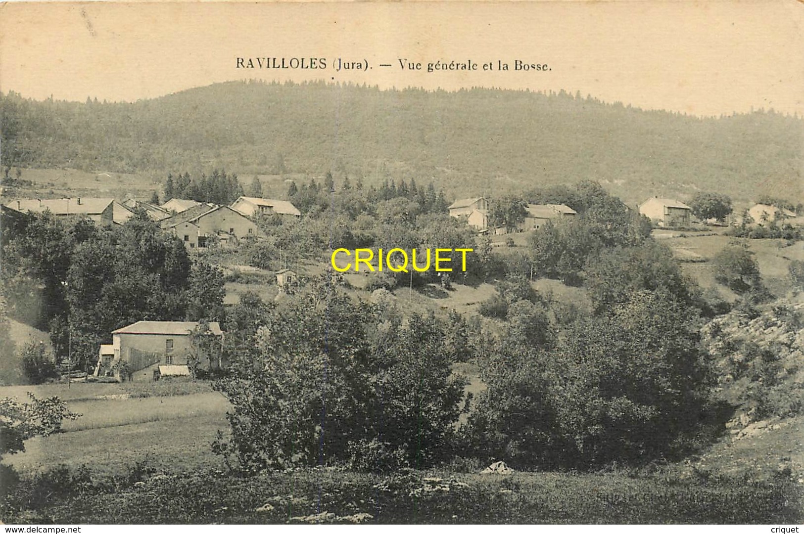 39 Ravilloles, Vue Générale Et La Bosse, Carte Pas Courante - Autres & Non Classés