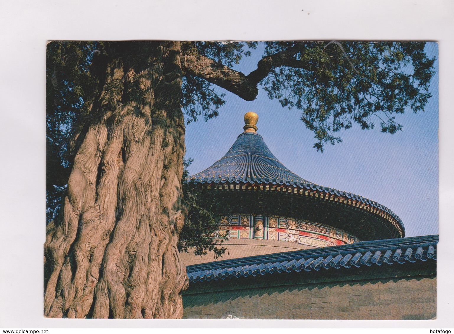 CPM PEKIN, A CORNER OF TIANTAN PARK/ TEMPLE OF HEAVEN ! (voir Timbre) - China