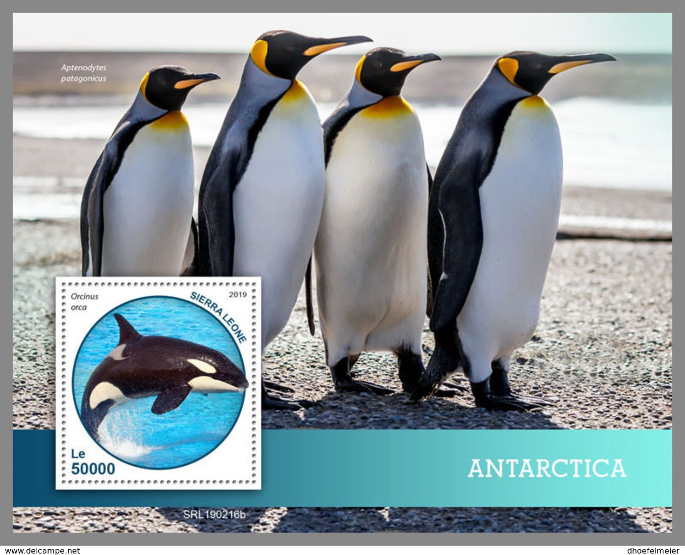 SIERRA LEONE 2019 MNH Antarctica Animals Tiere Der Antarktis S/S - OFFICIAL ISSUE - DH1914 - Antarctic Wildlife