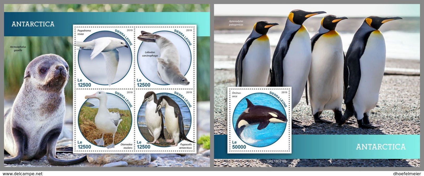 SIERRA LEONE 2019 MNH Antarctica Animals Tiere Der Antarktis M/S+S/S - OFFICIAL ISSUE - DH1914 - Faune Antarctique