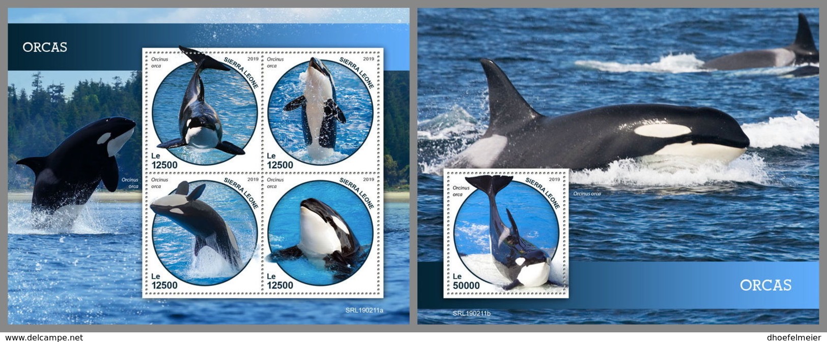 SIERRA LEONE 2019 MNH Orcas M/S+S/S - IMPERFORATED - DH1914 - Baleines