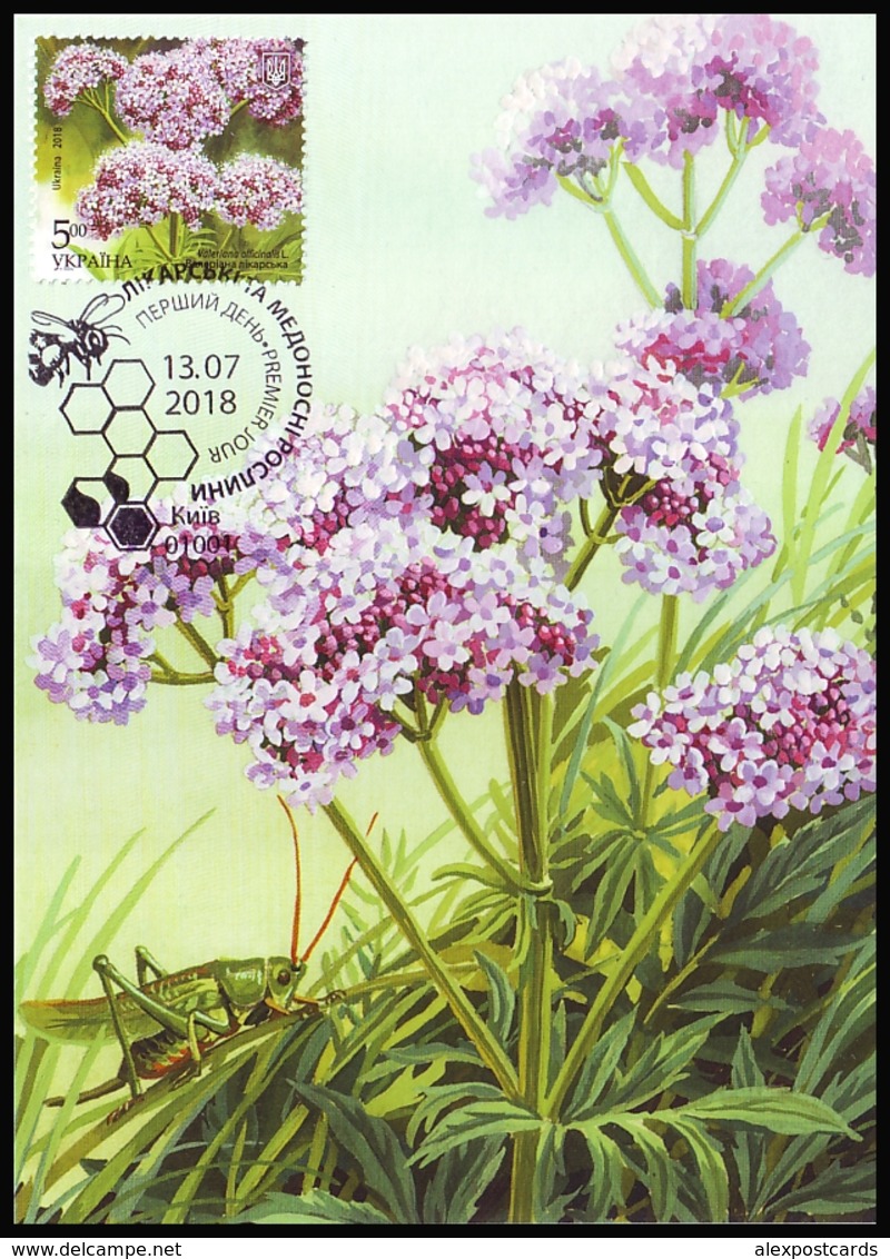 UKRAINE 2018. MEDICAL AND MELLIFEROUS PLANTS. Set Of 4 Stamps Mi-Nr. 1700-03. MAXICARDS - CARTES MAXIMUM - Ukraine