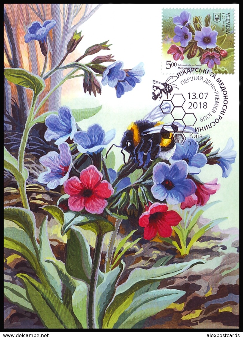 UKRAINE 2018. MEDICAL AND MELLIFEROUS PLANTS. Set Of 4 Stamps Mi-Nr. 1700-03. MAXICARDS - CARTES MAXIMUM - Ukraine