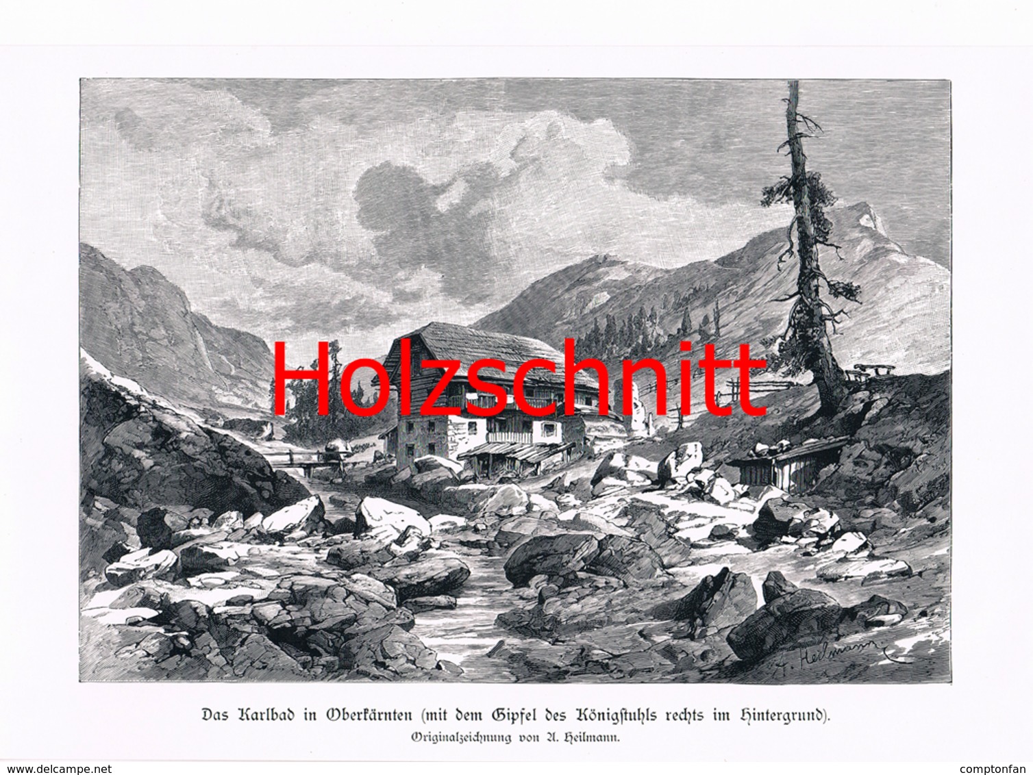 028-2 Karlbad Kärnten Bauernbad Alm Großbild HS 1899!! - Historische Dokumente