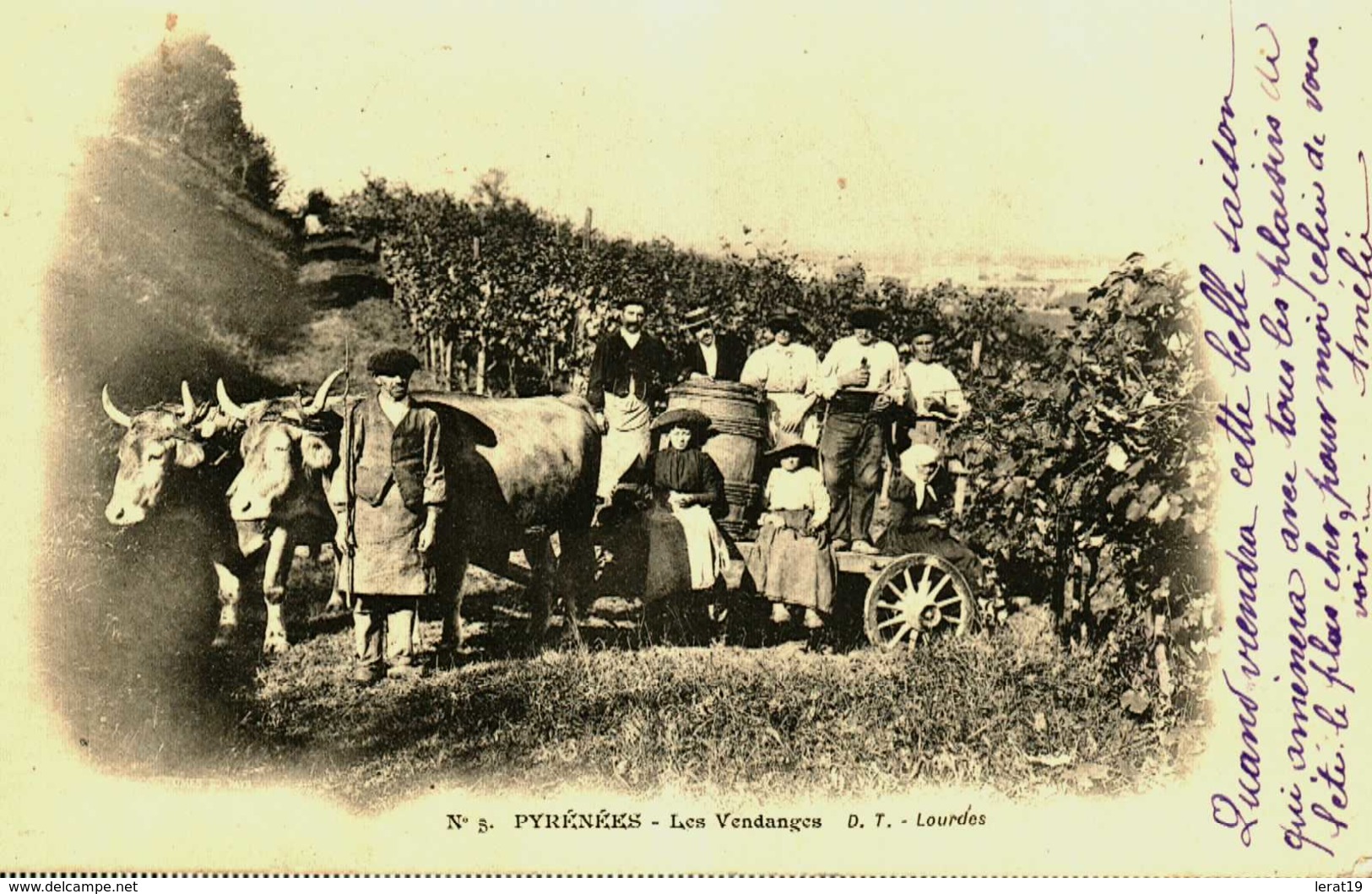 65....hautes Pyrenées....les Vendanges...attelage. - Otros & Sin Clasificación