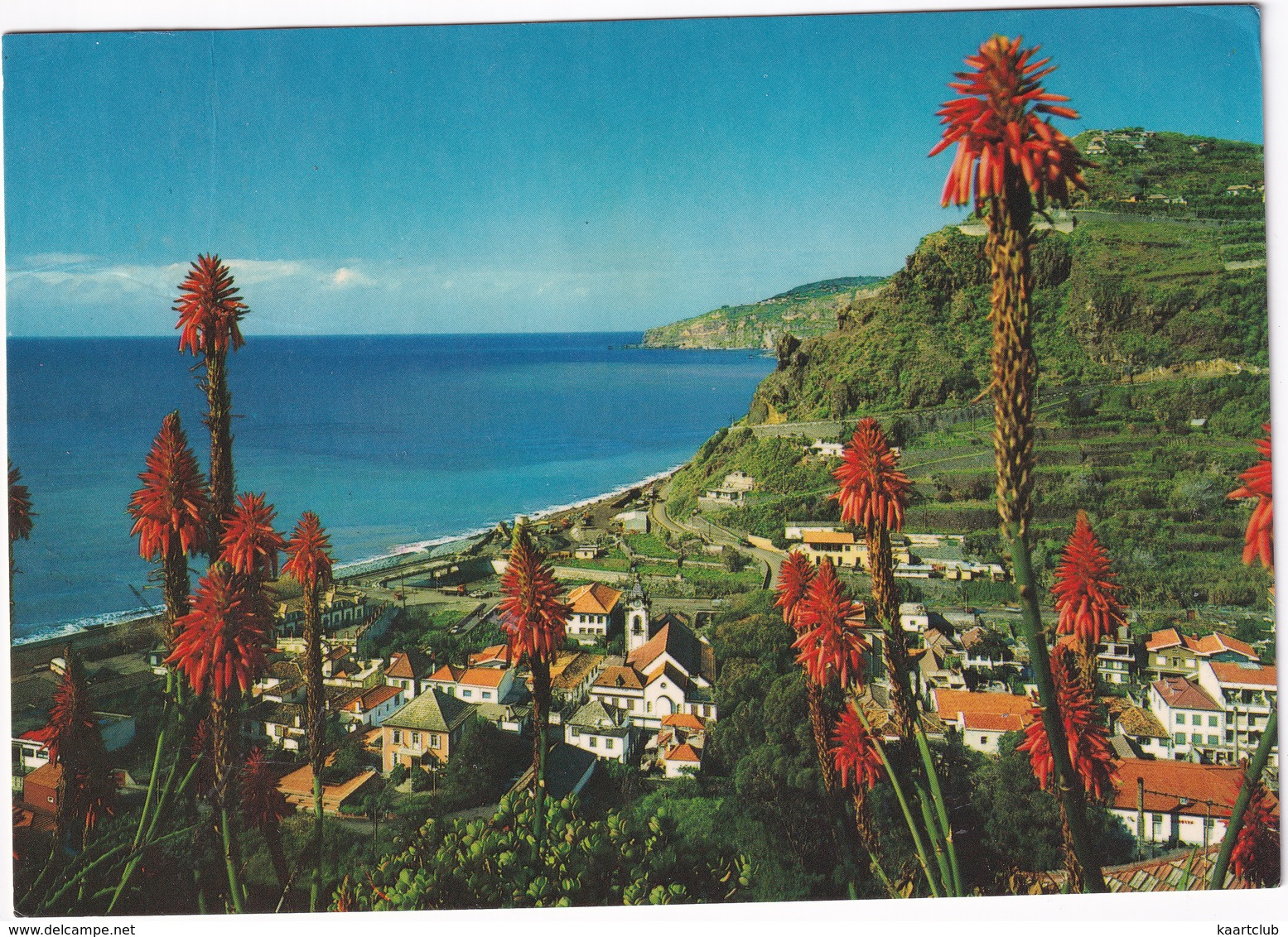 Madeira - Vila Da Ribeira Brava - (Madeira) - Madeira