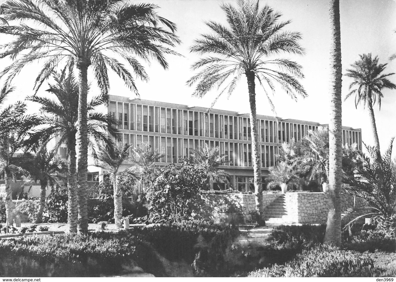 Algérie - OUARGLA - Vue Générale De L'Hôtel Transatlantique - Photo Khelil - Ouargla