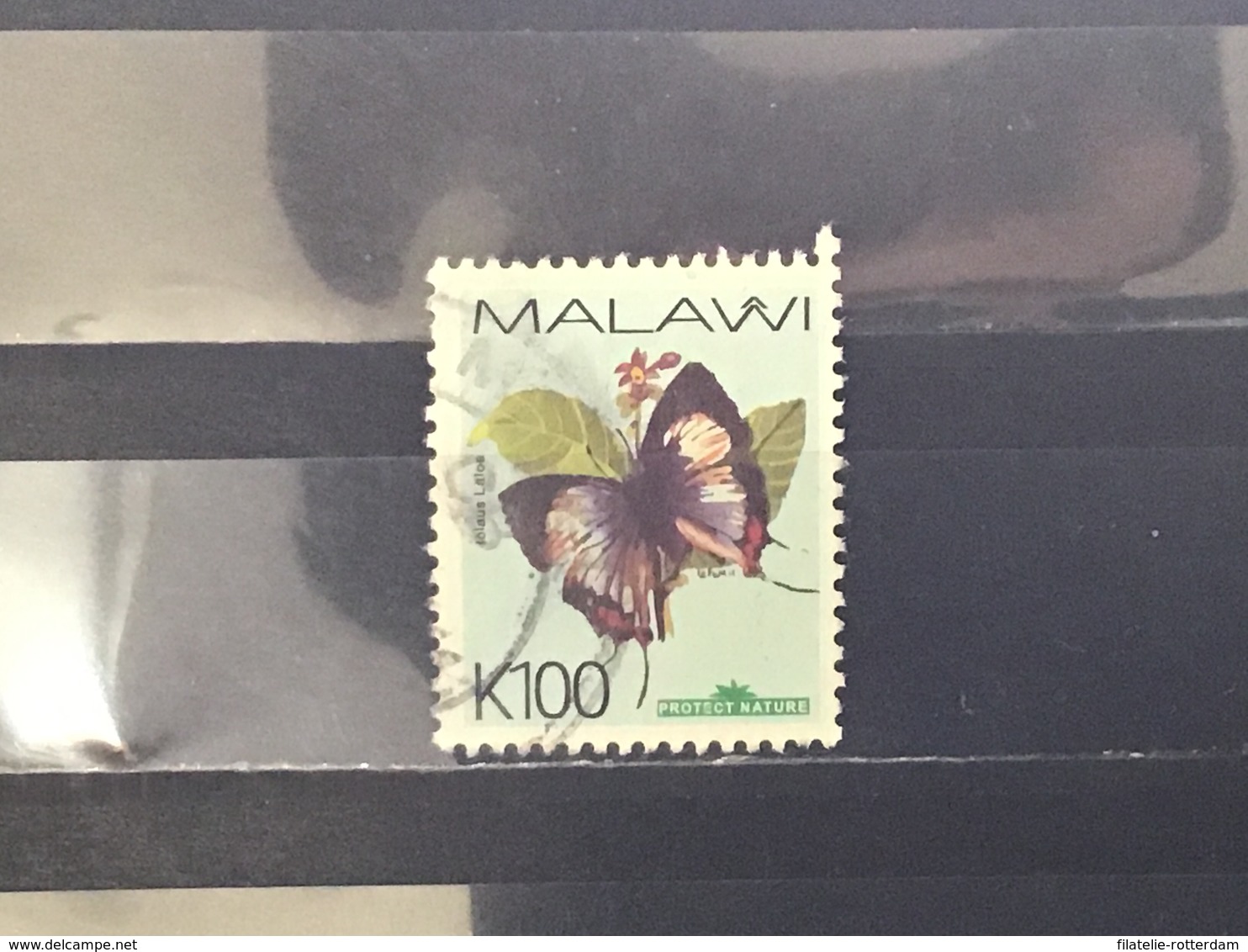 Malawi - Vlinders (100) 2007 - Malawi (1964-...)
