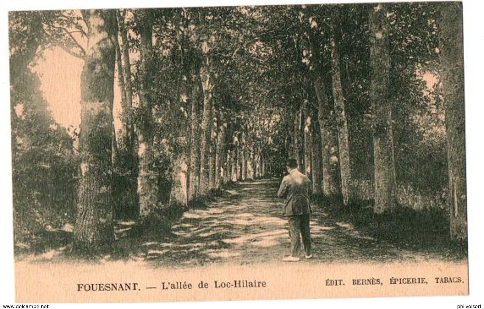 FOUESNANT L ALLEE DE LOC HILAIRE ANIMEE - Fouesnant