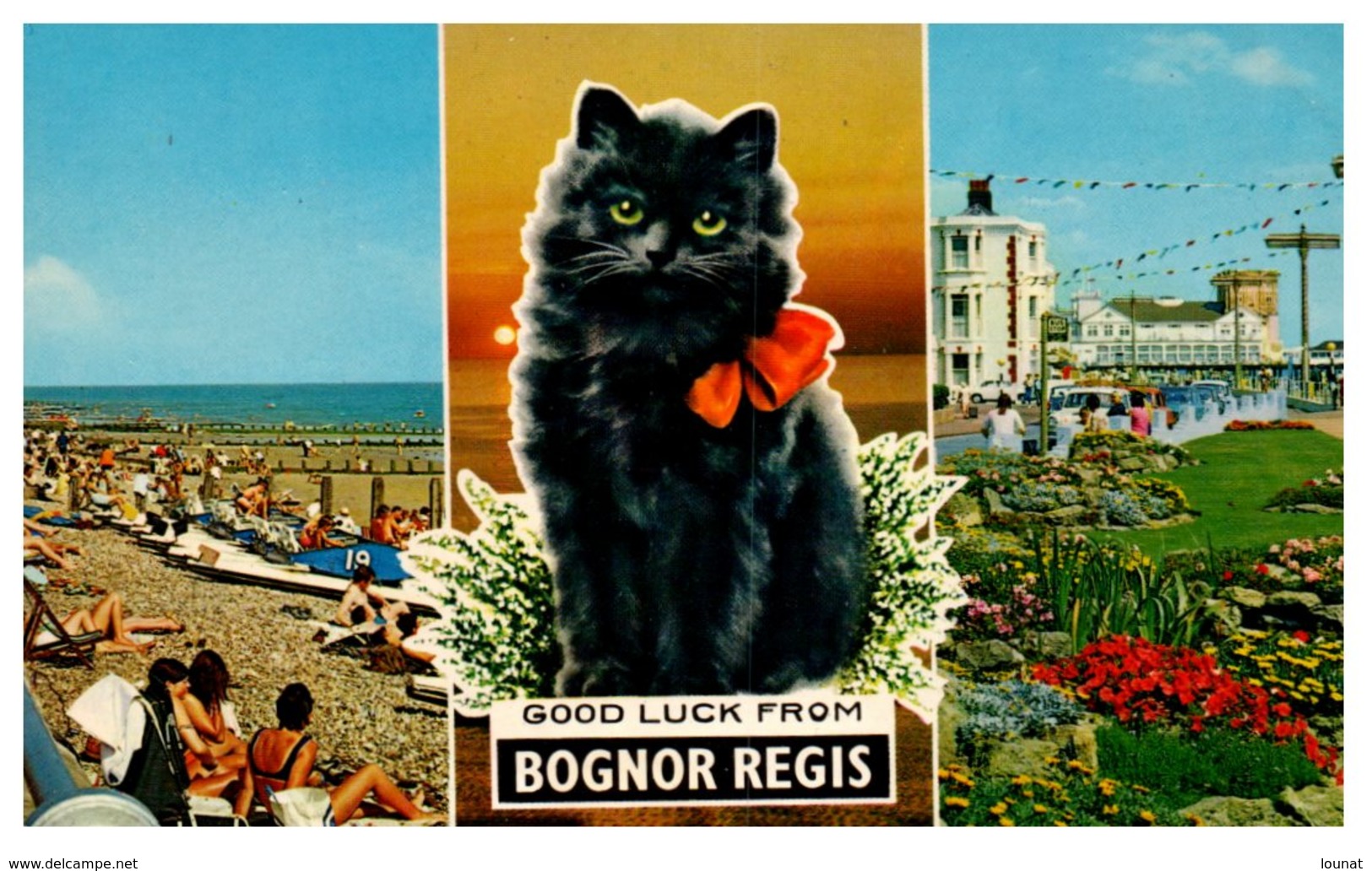 BOGNOR REGIS - Chat (pli Coin Droit) - Bognor Regis