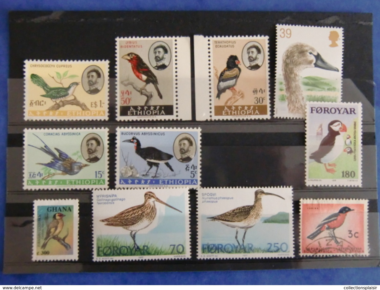 LIQUIDATION COLLECTION SUR LES OISEAUX MAJORITE NEUFS