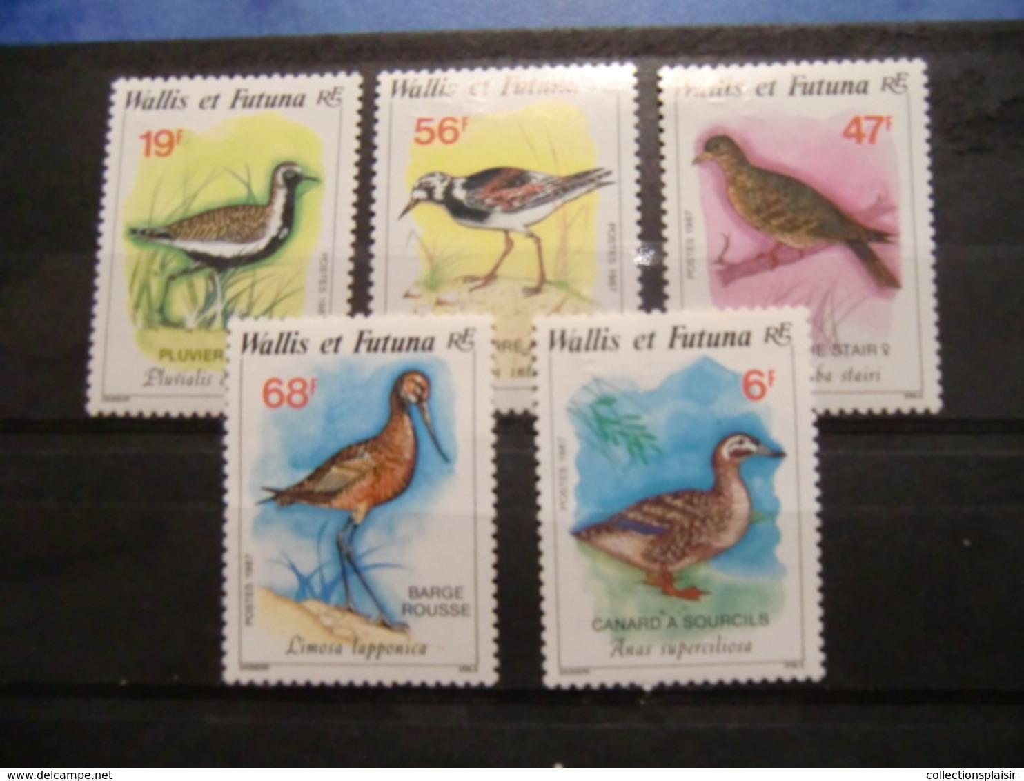 LIQUIDATION COLLECTION SUR LES OISEAUX MAJORITE NEUFS