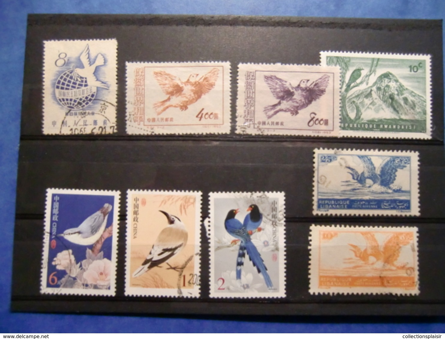 LIQUIDATION COLLECTION SUR LES OISEAUX MAJORITE NEUFS