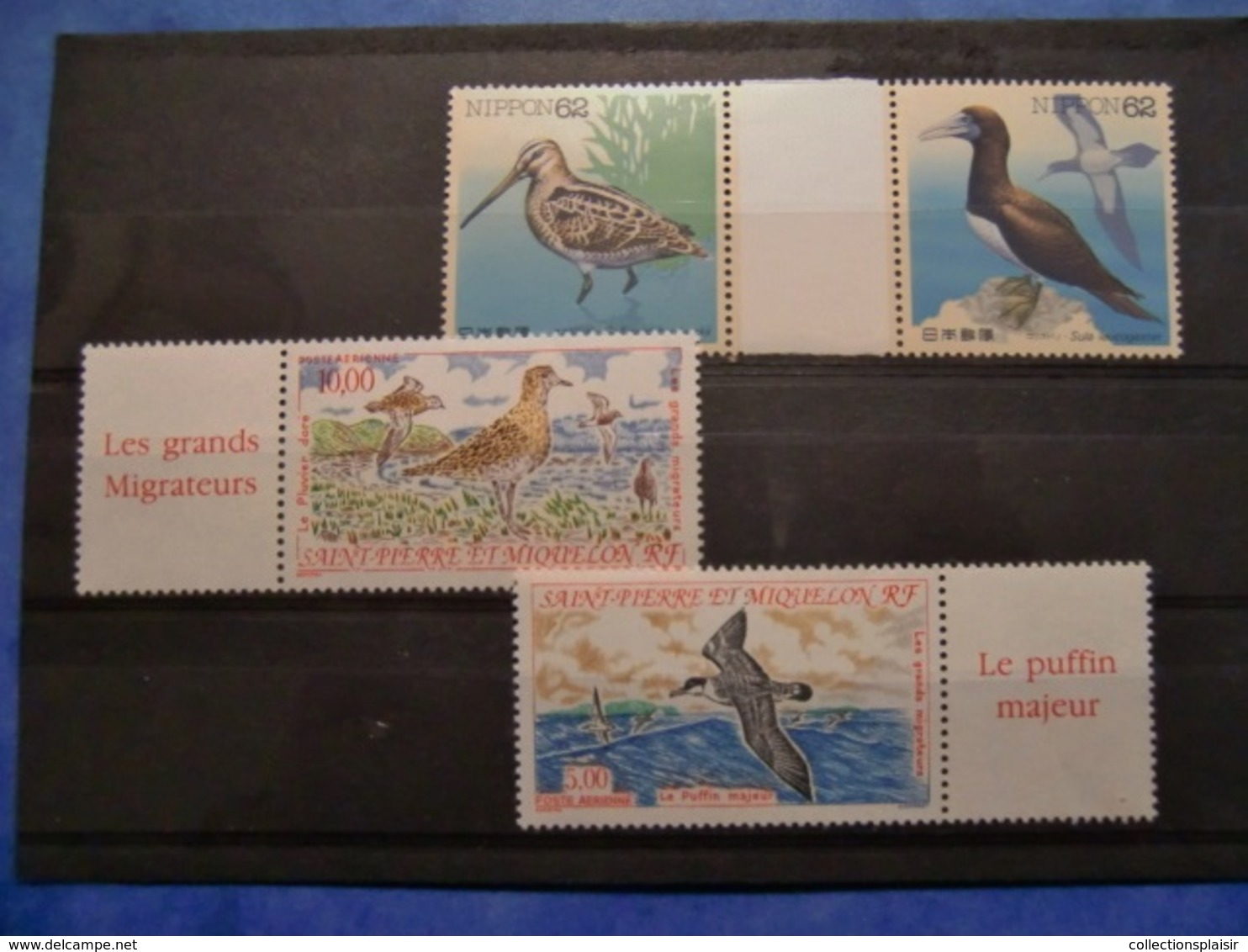 LIQUIDATION COLLECTION SUR LES OISEAUX MAJORITE NEUFS