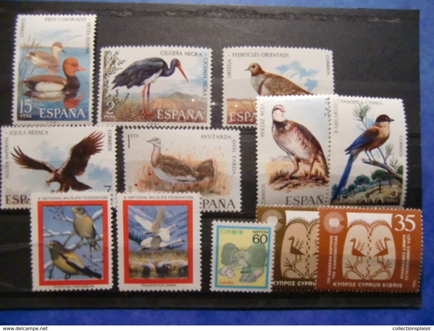 LIQUIDATION COLLECTION SUR LES OISEAUX MAJORITE NEUFS