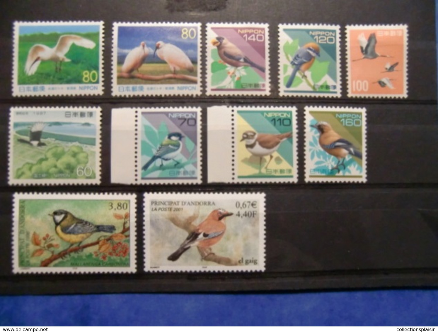 LIQUIDATION COLLECTION SUR LES OISEAUX MAJORITE NEUFS