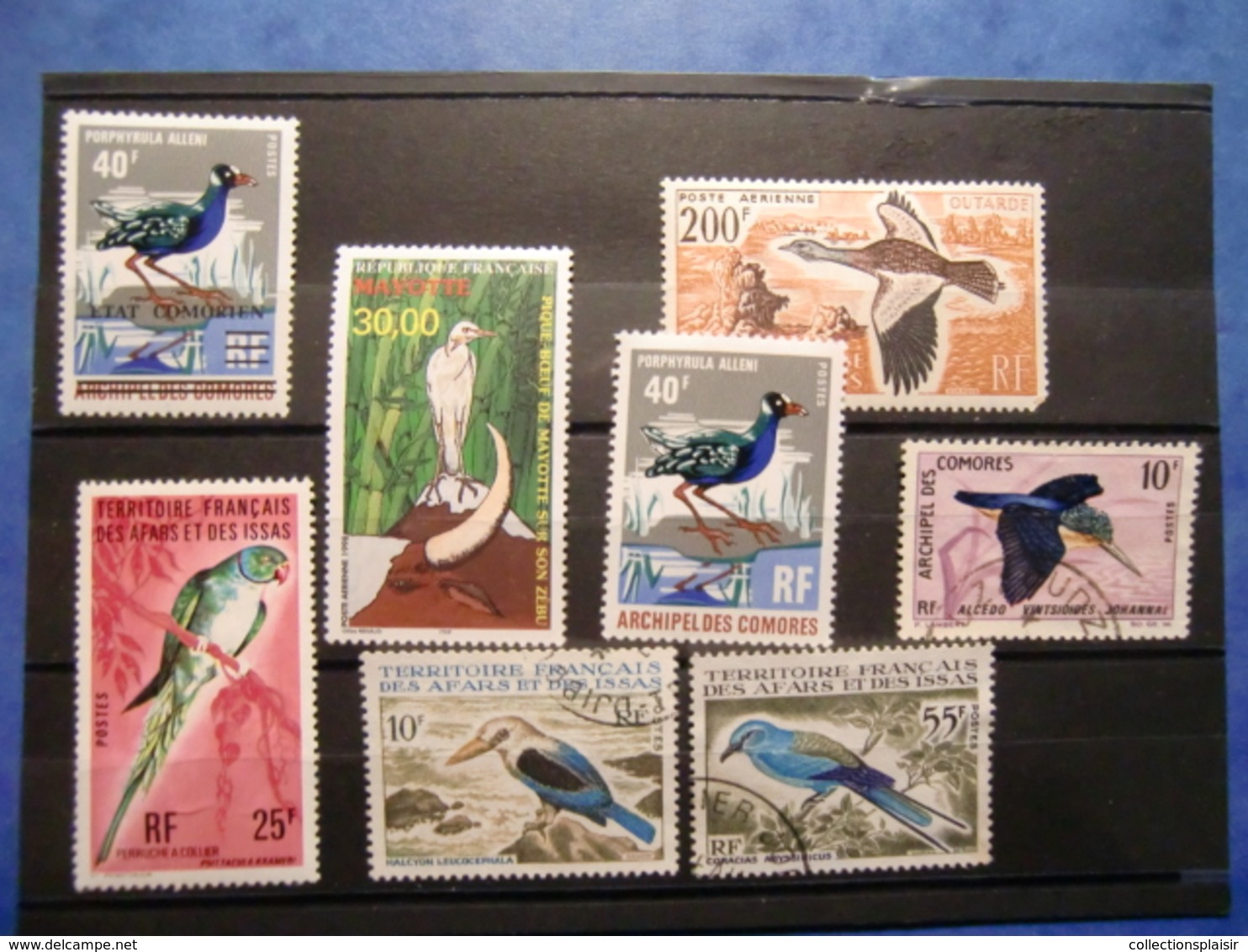 LIQUIDATION COLLECTION SUR LES OISEAUX MAJORITE NEUFS