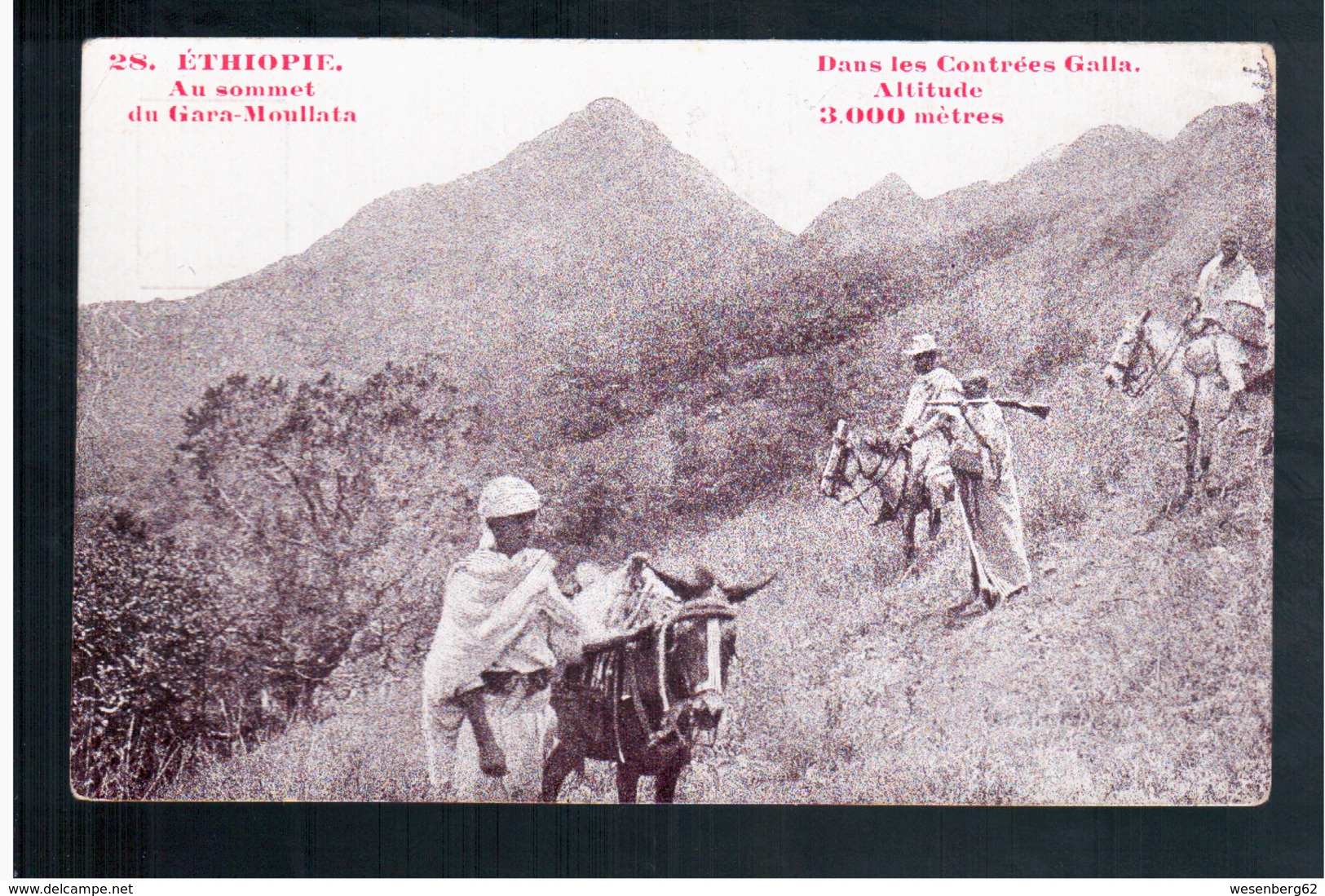ETHIOPIE  Au Sommet Du Gara-Moullata - Dans Les Contrées Galla Altitude 3000 Mètres Ca 1910 OLD  POSTCARD - Ethiopie