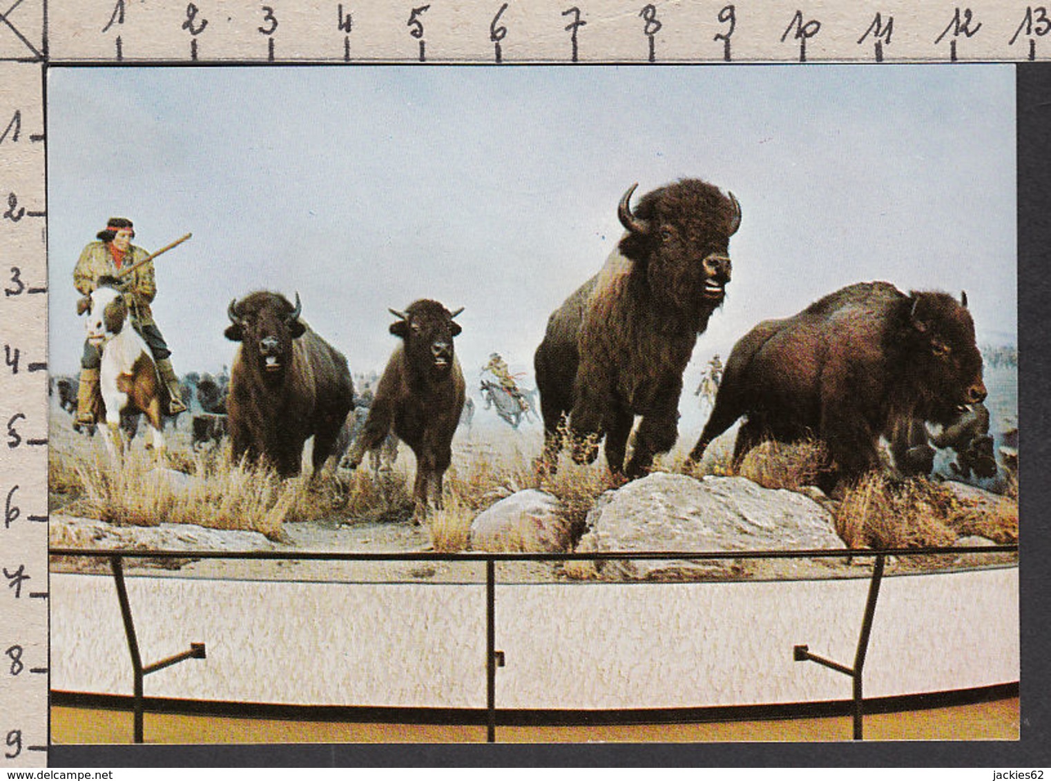 20436/ WINNIPEG, Diorama, Métis Hunting Buffalo, Manitoba Museum Of Man And Nature - Winnipeg