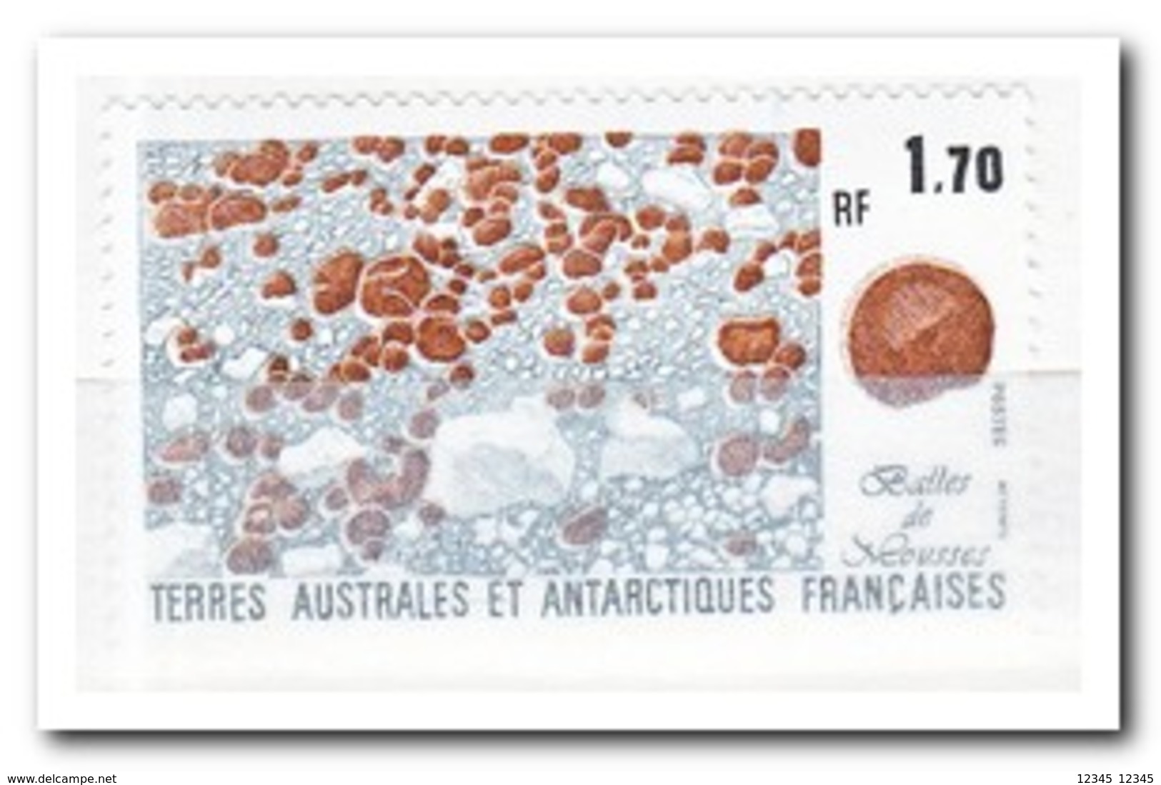 Frans Antarctica 1991, Postfris MNH, Plants - Ongebruikt