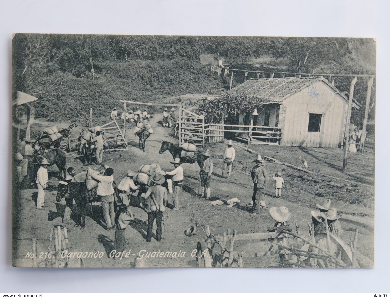 C. P. A. : Guatemala : Cargando Café , En 1908 - Guatemala