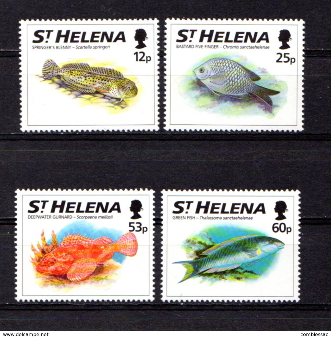 SAINT  HELENA    1994    Fish    Set  Of  4    MNH - Saint Helena Island