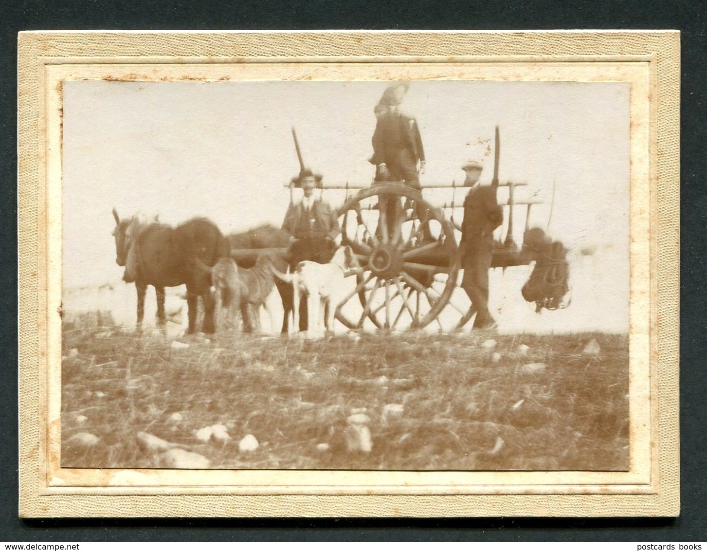 Conjunto De 2 Fotografias Antigas (Montemor O Novo?) Carroça Alentejo. Set Of 2 Old Photos PORTUGAL - Anciennes (Av. 1900)