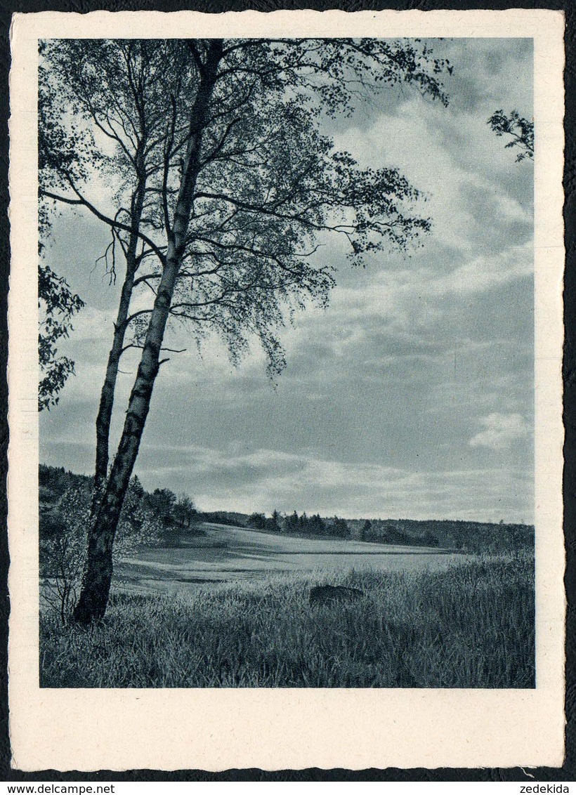 C4602 - Walter Schenke Ansichtskarte - Walter Flechsig Verlag Dresden - Landschaft - Sonstige & Ohne Zuordnung