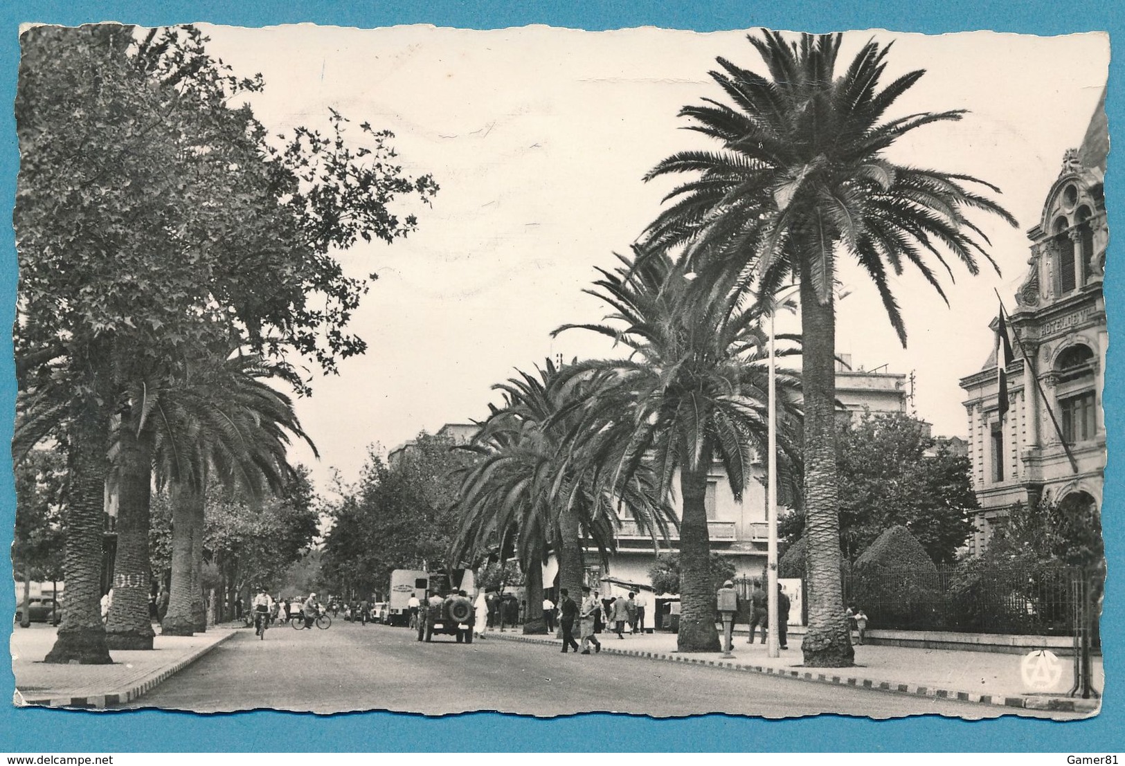 SIDI-BEL-ABBES Le Boulevard De La République Jeep Hotchkiss Photo Véritable Circulé 1960 - Sidi-bel-Abbès